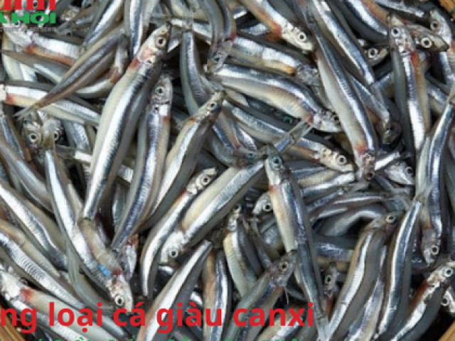 Những loại cá nhiều can xi, rẻ rúng rộng lớn cá hồi, chào bán tràn chợ Việt