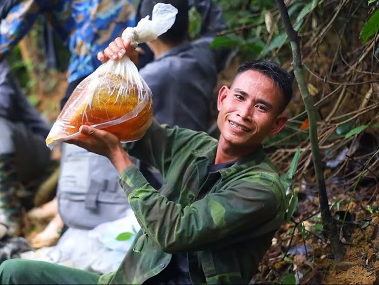 Mỗi tổ ong khoái nặng từ vài cân đến vài chục cân. (Ảnh: Bước chân vùng cao).