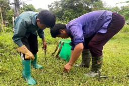 Trung Quốc lùng mua cả triệu đồng/kg, nhiều người đi kích điện ngày đêm lấy giun đất bán