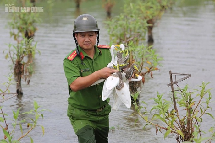 Công an xã Quảng Hùng, TP Sầm Sơn phối hợp với lực lượng kiểm lâm đi thu gom, xử lý cò mồi được làm bằng xốp giăng trên các cánh đồng hôm 18-10