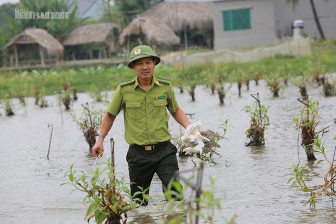 Theo Hạt Kiểm lâm ven biển Thanh Hóa, nhiều hộ dân trên địa bàn đã được nhắc nhở, ký cam kết không bẫy bắt chim trời nhưng vẫn tái phạm