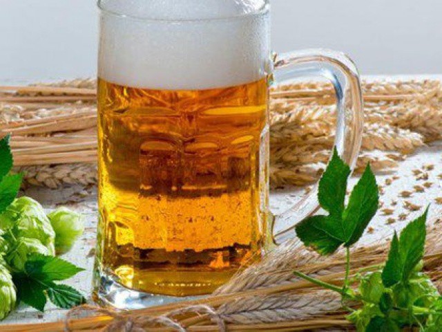 Nguyên liệu làm bia chứa ”thần dược” trị mỡ bụng, huyết áp cao