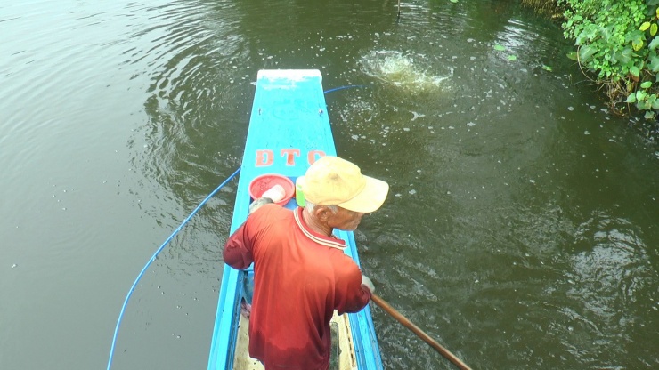 Trung bình mỗi ngày người lặn mò con hai mảnh phải trầm mình dưới nước hơn 6 giờ đồng hồ. Quãng đường lặn mò con hai mảnh có khi lên đến hàng chục km.