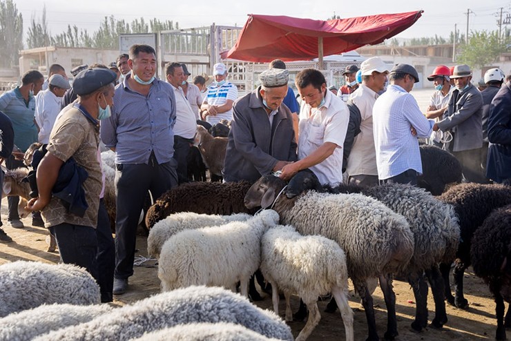 Trải nghiệm chợ chăn nuôi Kashgar: Thật là một trải nghiệm tuyệt vời khi được chứng kiến những người nông dân Uyghur, Tajik và Kyrgyzstan khoe và buôn bán động vật của họ. Chợ thực phẩm ngay lối vào có thịt tươi ngon nhất thị trấn và các quầy hàng bán thịt cừu xiên, samsa, mì, bánh mì plov rất thơm ngon.&nbsp;
