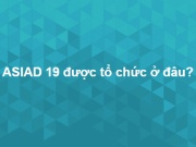 Giáo dục - du học - Cùng thử sức xem bạn trả lời đúng được bao nhiêu câu hỏi nhé