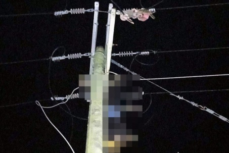 Tin tức 24h qua: Hai vợ chồng đi trộm dây điện, chồng tử vong trên cột điện