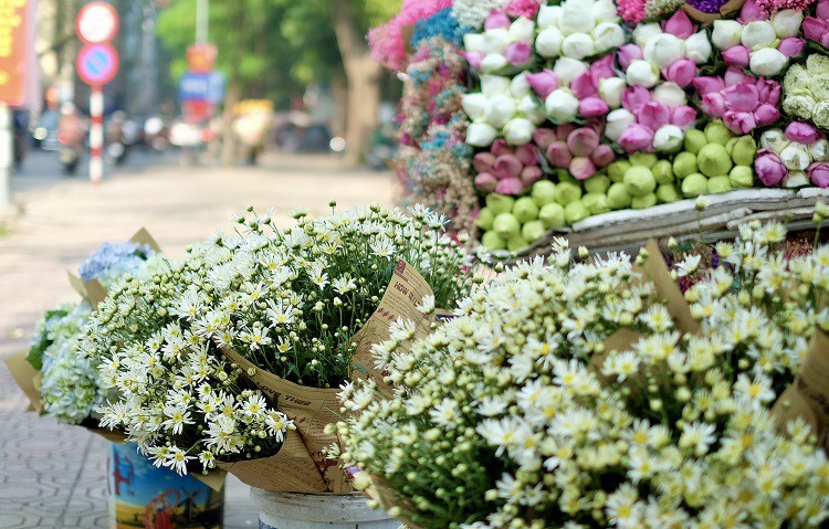 Loại hoa “đặc sản mùa thu” có giá 100 nghìn đồng/bó, dân buôn tranh mua - 2