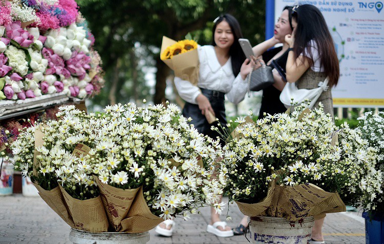 Loại hoa “đặc sản mùa thu” có giá 100 nghìn đồng/bó, dân buôn tranh mua - 3