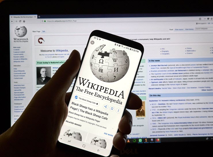 Elon Musk muốn bỏ ra 1 tỷ USD để đổi tên Wikipedia - 1