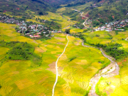 Du lịch - Cảnh thiên nhiên cao nguyên cùng ruộng bậc thang bên đỉnh Ngọc Linh đẹp nao lòng