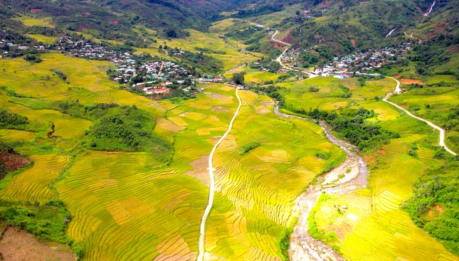 Ruộng lúa bậc thang bạt ngàn cùng mùi lúa chín thơm ngào ngạt khắp một thung lũng rộng lớn