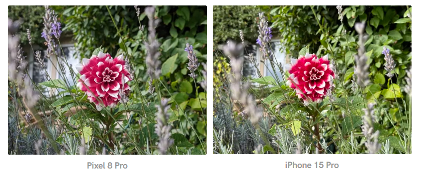Camera iPhone 15 Pro liệu có 'đè bẹp' camera của Pixel 8 Pro? - 3