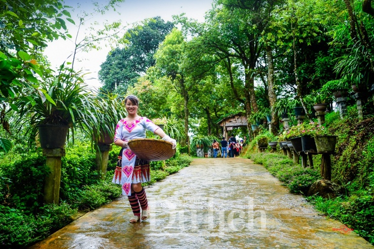 Đến ‘Suối có vàng’trải nghiệm giấc ngủ trong mây gió - 12