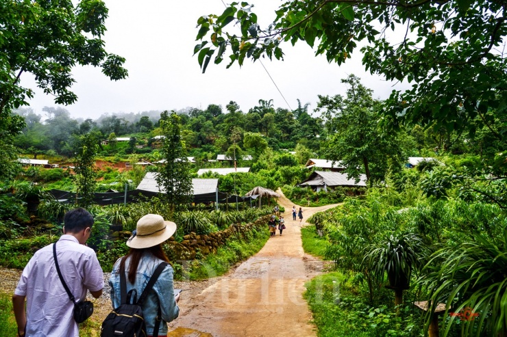 Đến ‘Suối có vàng’trải nghiệm giấc ngủ trong mây gió - 13