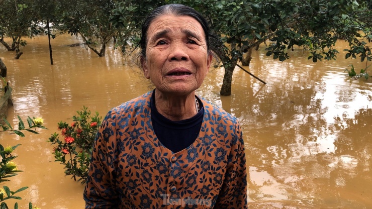 “Nước lên quá nhanh, một số đồ đạc không kịp di chuyển đã bị hư hỏng. Khi nước lên cao, tôi phải trèo lên gác để nằm, còn vườn tược, nhà bị ngập sâu”, bà Cao Thị Thu (84 tuổi, trú huyện Hương Khê) nói.