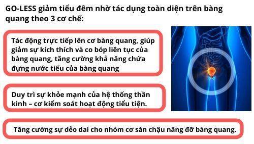 Cơ chế tác động toàn diện của nguyên liệu GO-LESS