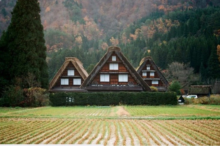 Làng Shirakawa-go nằm dưới chân núi Haku-san thuộc tỉnh Gifu ở miền trung Nhật Bản. 
