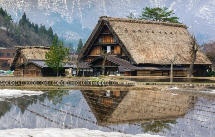 Shirakawa-go là điểm đến bốn mùa ở Nhật Bản. Mỗi mùa đều có vẻ đẹp riêng, thực sự rất ngoạn mục để trải nghiệm.&nbsp;
