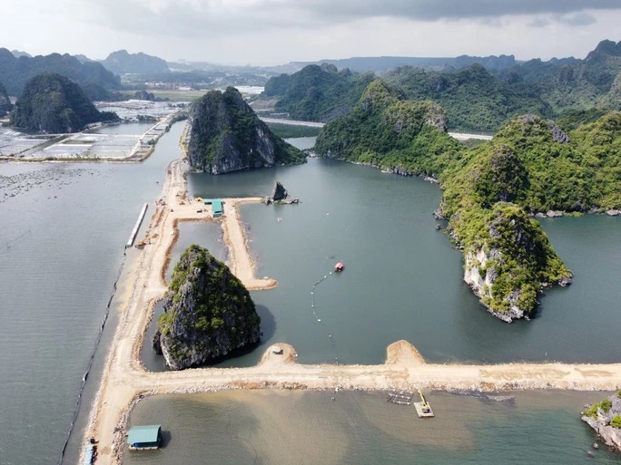 Theo UBND tỉnh Quảng Ninh, hiện trạng khu vực thực hiện dự án là bãi sình lầy nằm toàn bộ trong đường triều kiệt đã được Bộ TN-MT phê duyệt. Ảnh: Trọng Đức