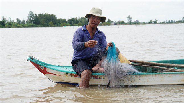 Ông Trương Văn Đặng giăng lưới ngoài đồng lũ ở huyện Tam Nông, tỉnh Đồng Tháp. ẢNH: HÒA HỘI