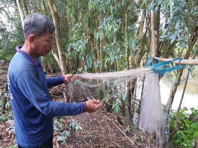 Ông Võ Văn Tâm ở xã Vĩnh Tế, TP Châu Đốc, tỉnh An Giang đang gỡ lưới cặp mé kênh. ẢNH: HÒA HỘI