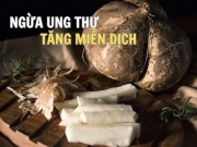 Sức khỏe đời sống - Loại củ nhiều người chê nhạt thếch nhưng ngừa ung thư, tăng miễn dịch