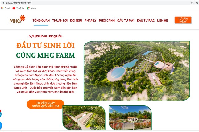 Công ty Cổ phần Tập đoàn Mỹ Hạnh kêu gọi nhà đầu tư trên trang web