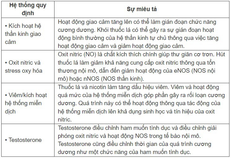 Nam giới rối loạn cương dương, chậm có con cần biết điều này - 4