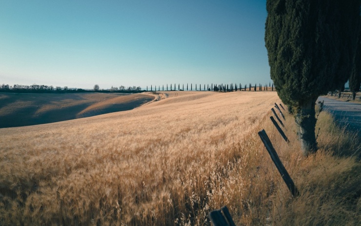 Lãng du về miền quê bình lặng và dịu êm ở Tuscany - 5