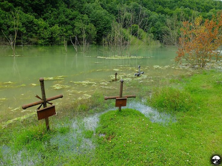 Nghĩa trang ngập nước ở ngôi làng bỏ hoang Geamăna ở Romania.
