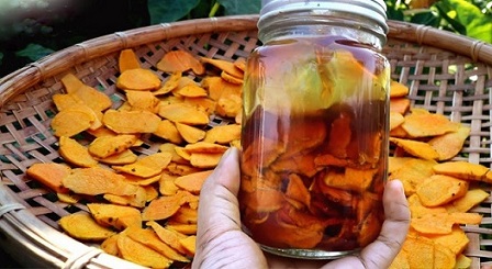 Thoát trào ngược, khỏe dạ dày nhờ thảo dược quý - 3