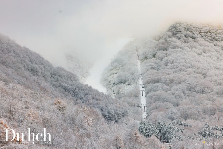 Fukushima đẹp tinh khôi trong ngày chớm đông sang