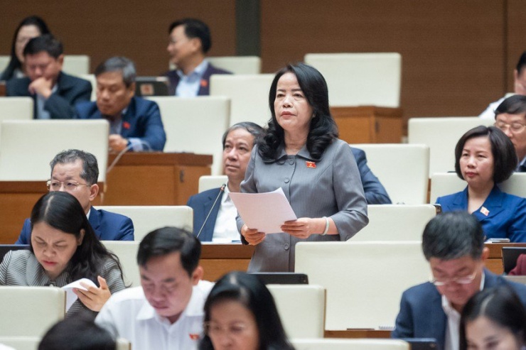 Đại biểu hỏi Chánh án TAND Tối cao Nguyễn Hoà Bình việc xác định thiệt hại trong vụ Vũ 'nhôm' - 1