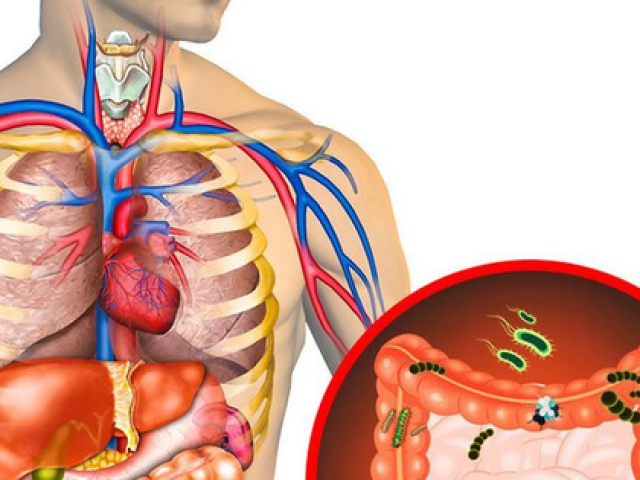 Những dấu hiệu nội tạng đang chứa lượng ‘rác’ quá lớn, cần thanh lọc độc tố ngay