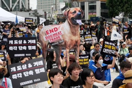 Hàn Quốc: Lời dọa thả gần 2 triệu con chó gần cơ quan chính phủ