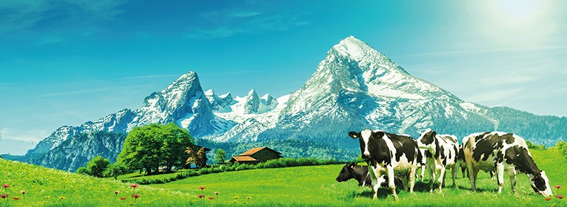 Công nghệ Biolactol™  – Cuộc cách mạng công nghệ hấp thu - 1