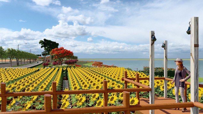 Phối cảnh tuyệt đẹp của cánh đồng hoa hướng dương ven sông Sài Gòn