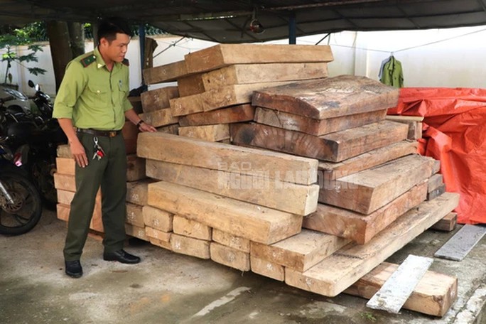 Phát hiện gỗ lậu cất giấu trên đất của trưởng phòng ở Quảng Nam - 2