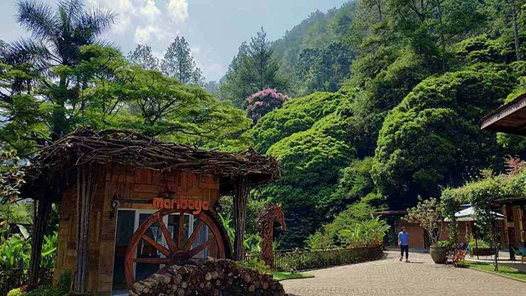 Một địa điểm thiên nhiên tuyệt vời khác ở Indonesia là thác Maribaya, được bao quanh bởi một vùng đồi tuyệt đẹp. Cảnh quan này sẽ mê hoặc bạn với sự tươi mới và quyến rũ. Ngoài ra, bạn cũng có thể ghé thăm suối nước nóng Maribaya, một địa điểm du lịch nổi tiếng gần đó.
