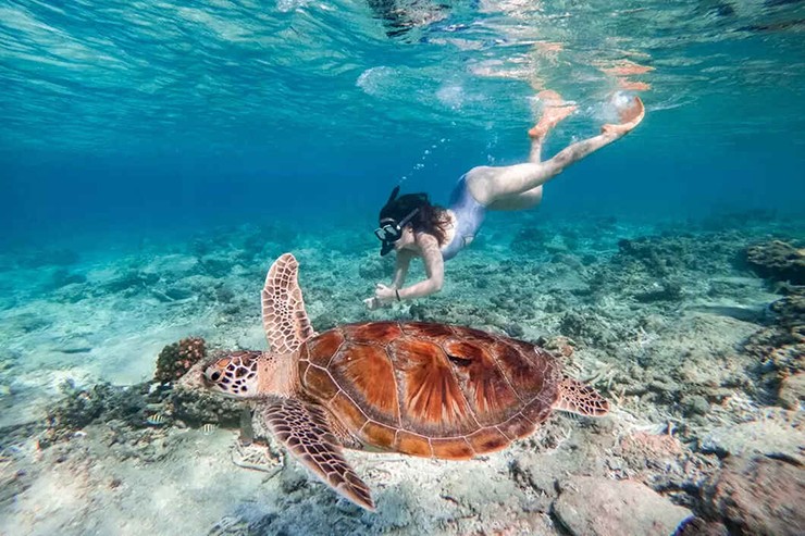 Gili Trawangan cũng nằm trong nhóm quần đảo ở Indonesia và là một trong những địa điểm du lịch đẹp và phát triển nhất. Cảnh biển độc đáo sẽ mê hoặc bạn và giúp xoa dịu tâm hồn. Bên cạnh đó, môi trường biển cũng rất hoàn hảo cho các môn thể thao mạo hiểm dưới nước như lặn biển, lặn ống thở...&nbsp;
