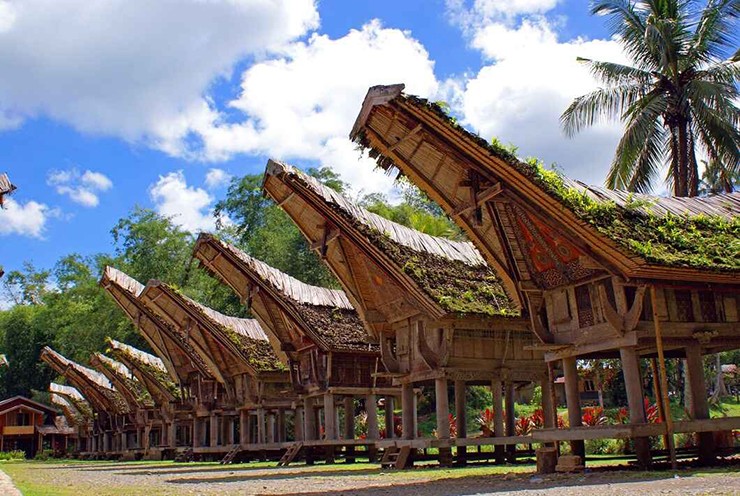 Nổi tiếng với hình ảnh mái vòm bằng gỗ và đá chạm khắc, Tana Toraja ở&nbsp;Sulawesi&nbsp;là một trong những địa điểm du lịch nghệ thuật nhất ở Indonesia. Mọi người cũng đến đây để nghiên cứu những người thuộc nhóm Toraja.
