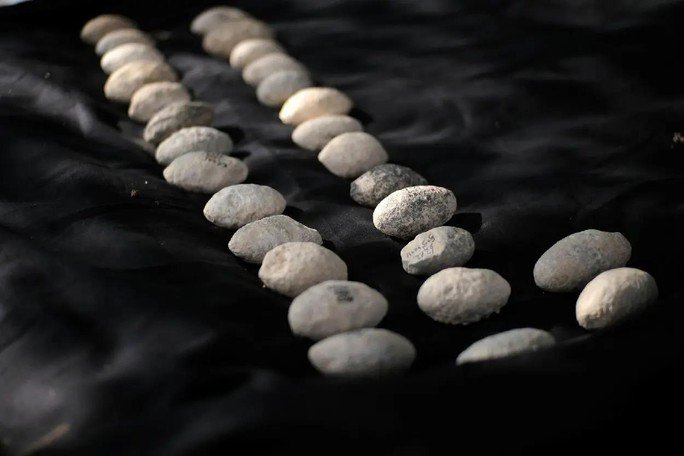 Sự giống nhau của các viên đá ném cho thấy chúng là những vũ khí được sản xuất hàng loạt - Ảnh: BỘ CỔ VẬT ISRAEL