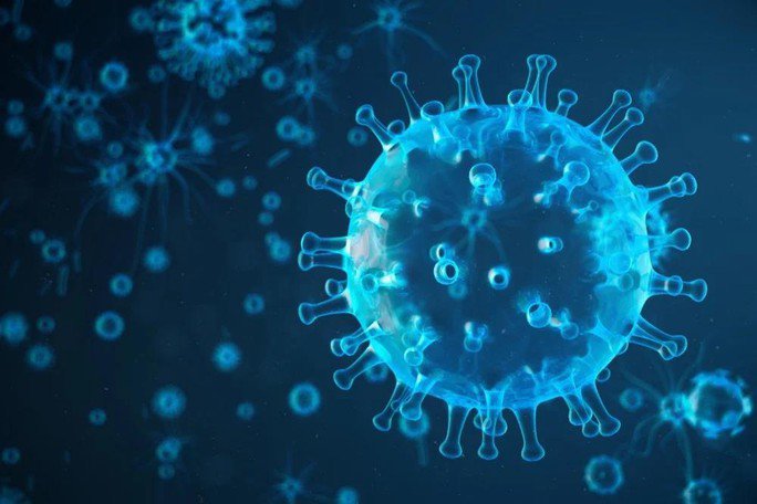 Virus cúm A/H5N1 - Ảnh đồ họa: NEWS-MEDICAL
