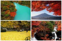 15 địa điểm ngắm mùa thu đẹp nhất Nhật Bản