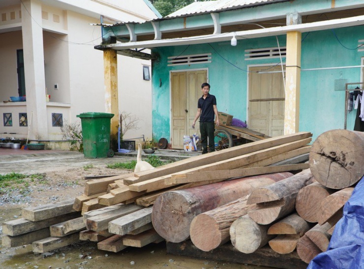 Kiểm lâm thu giữ hơn 4 m3 'gỗ chưa rõ nguồn gốc' trên đất Trưởng phòng Nội vụ huyện Phước Sơn. Ảnh: TN