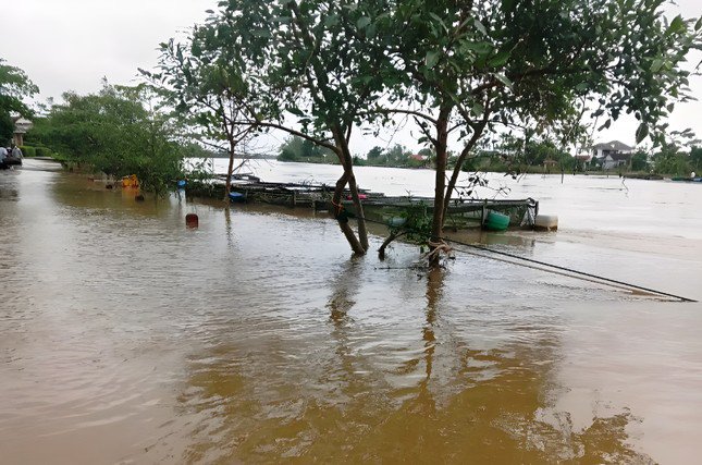 Mưa lớn gây ngập lụt tại hạ du sông Bồ (TT-Huế) trong những ngày đầu tháng 12/2023.