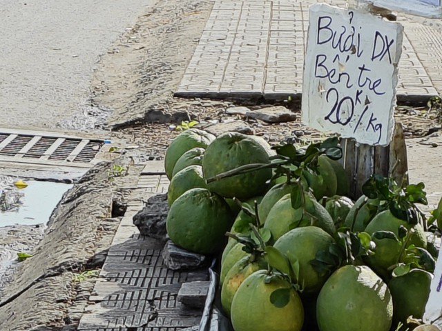 Bưởi da xanh chỉ 20.000 đồng/kg