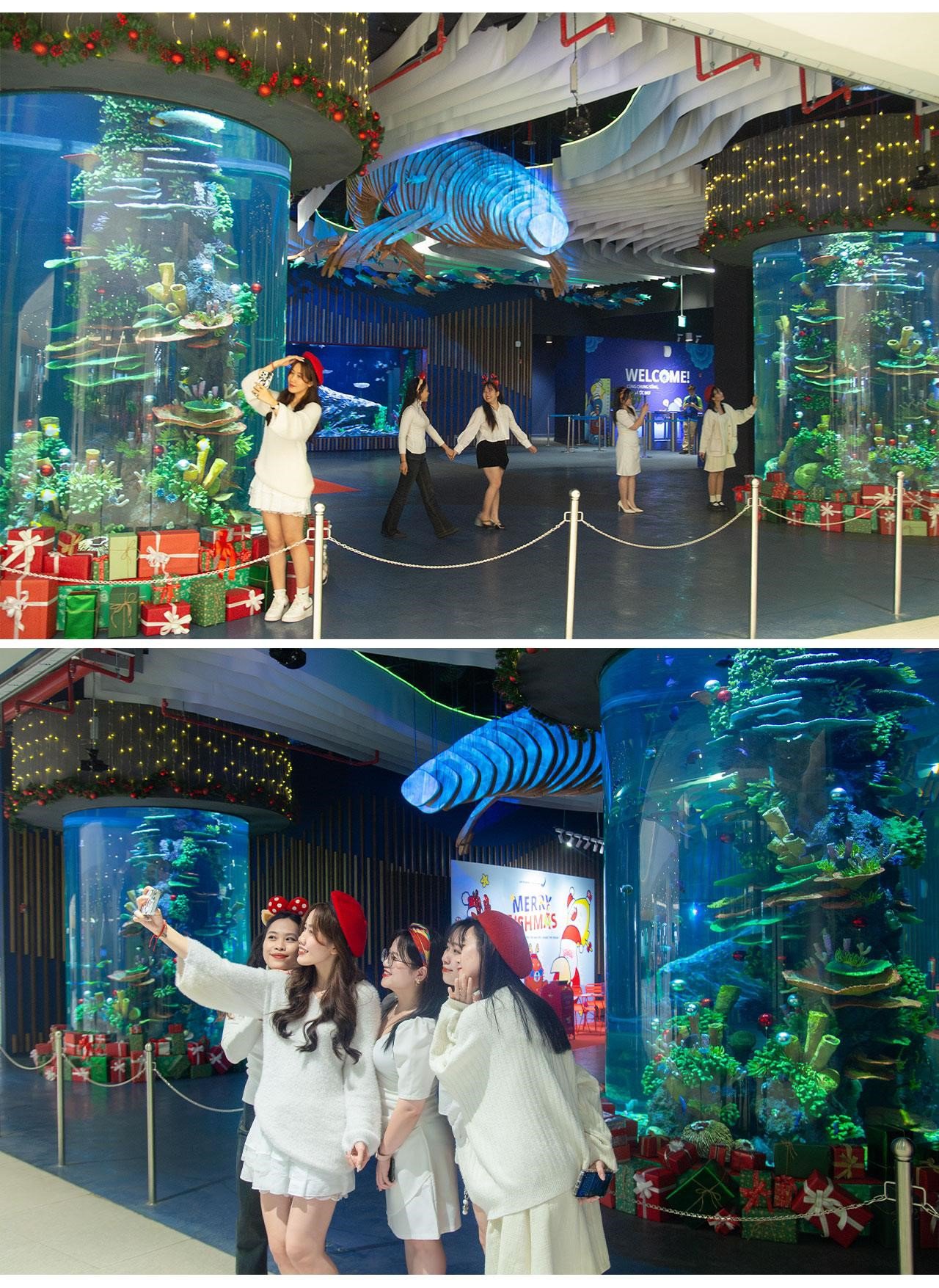 Không gian ngập tràn không khí Giáng sinh tại Thủy cung Lotte World Hà Nội
