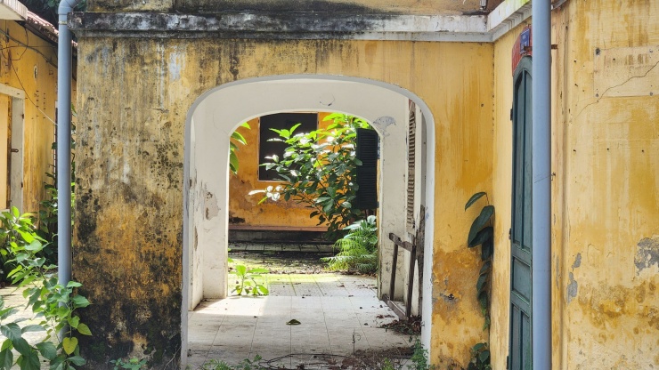 Cây dại, rêu phong xâm lấn khu nhà.