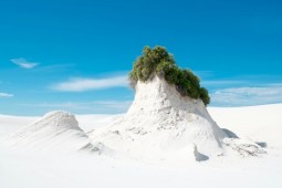 Khám phá sa mạc cát thạch cao mát lạnh, trắng như tuyết ở Mỹ